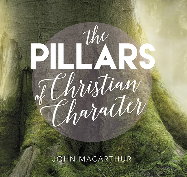 The Pillars of Christian Character