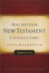 John 1-11 Commentary