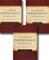 Pastoral Epistles Commentary Collection